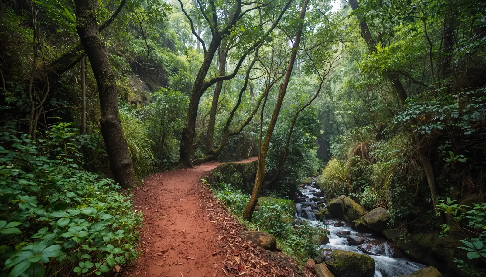 dudhsagar trail 2