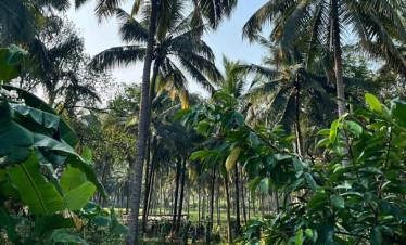 South Goa